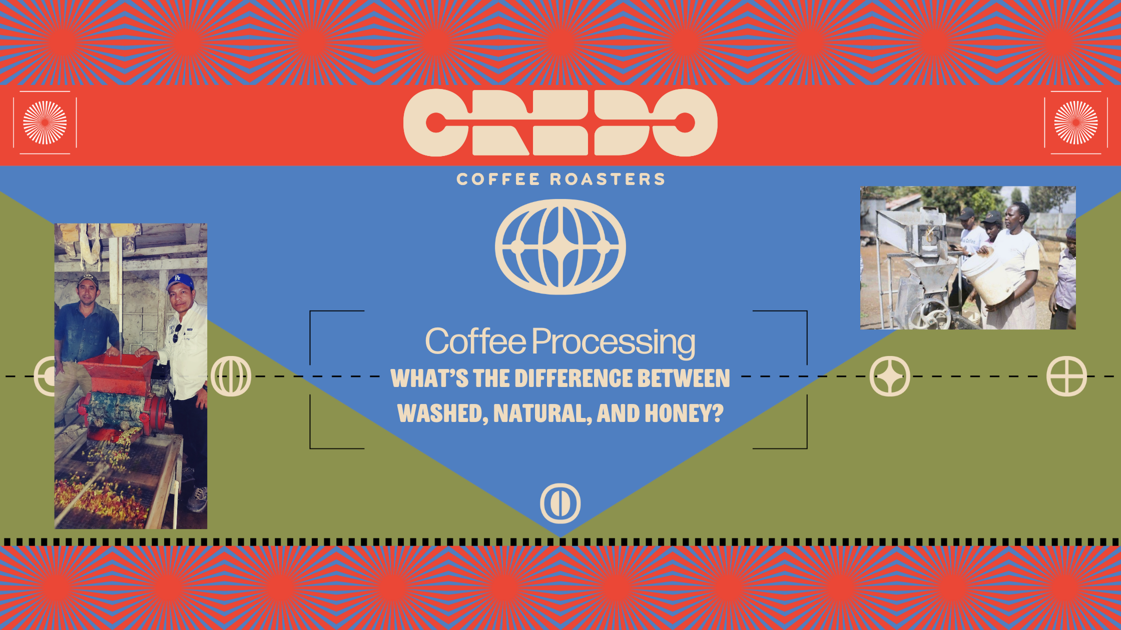What’s the Difference Between Washed, Natural, and Honey Processed Coffee?